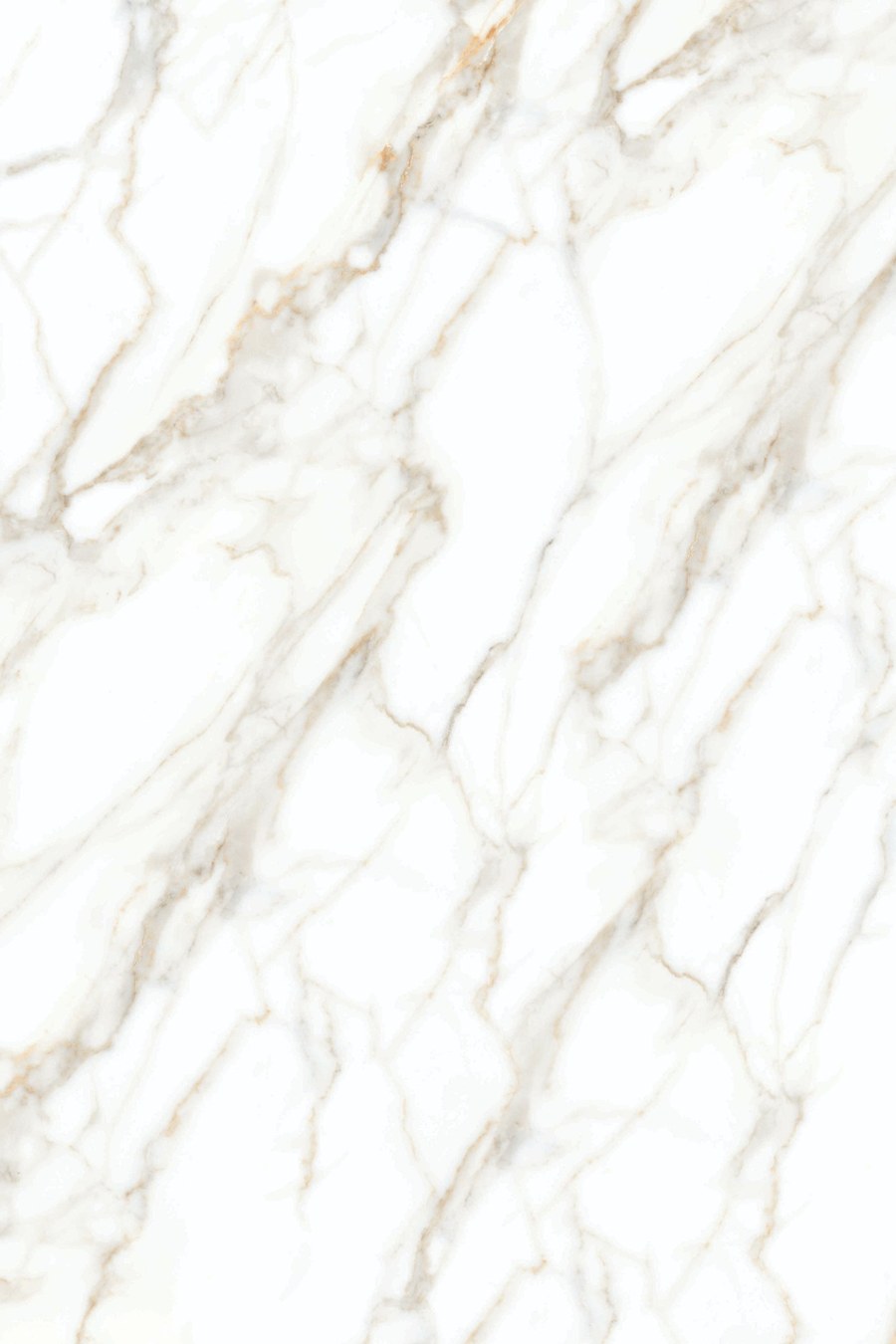 panel scienny nr4.jpg